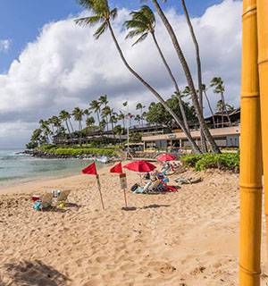 Napili Vacation Rentals on Maui